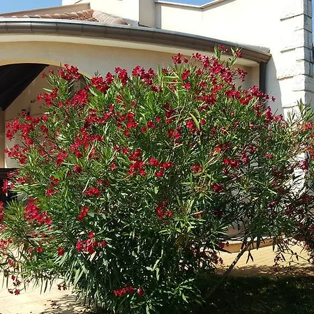 Parenzo Villa Porec