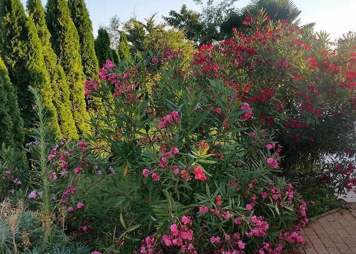 Parenzo Вилла Пореч